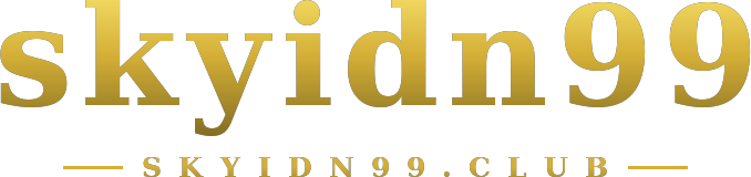skyidn99 logo